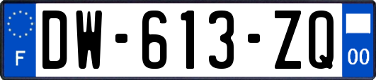 DW-613-ZQ