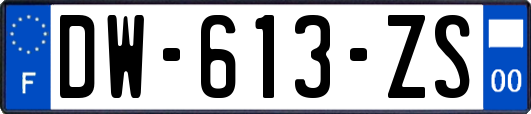 DW-613-ZS