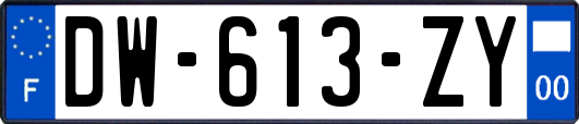 DW-613-ZY