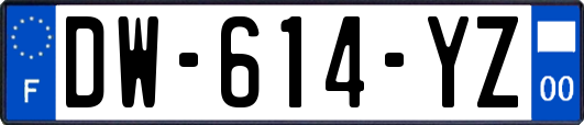 DW-614-YZ