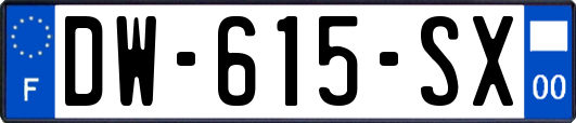 DW-615-SX