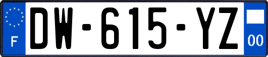 DW-615-YZ