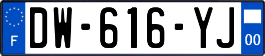 DW-616-YJ
