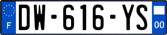 DW-616-YS