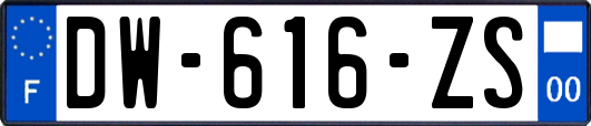 DW-616-ZS