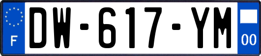 DW-617-YM