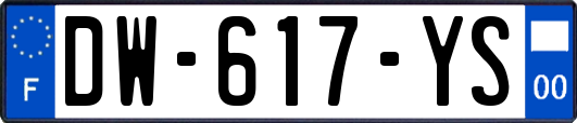 DW-617-YS