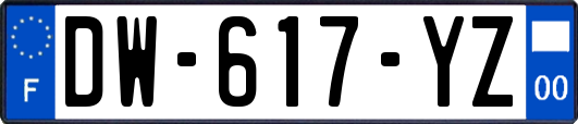 DW-617-YZ