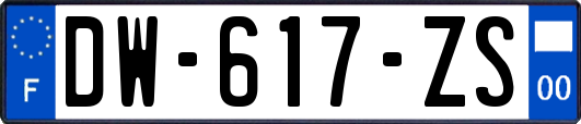 DW-617-ZS