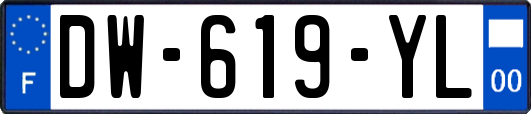DW-619-YL
