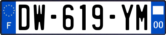 DW-619-YM