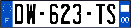 DW-623-TS