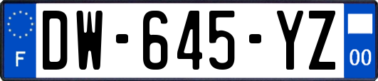 DW-645-YZ