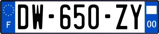 DW-650-ZY