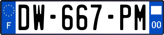 DW-667-PM