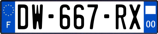 DW-667-RX