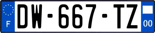 DW-667-TZ