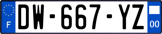 DW-667-YZ