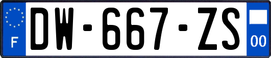 DW-667-ZS