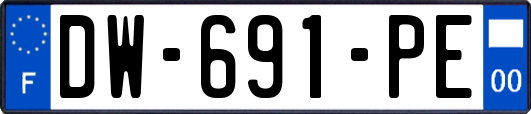 DW-691-PE