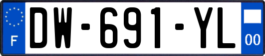 DW-691-YL