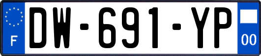 DW-691-YP