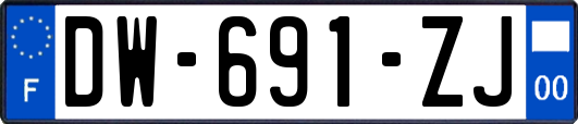 DW-691-ZJ