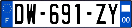 DW-691-ZY