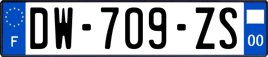 DW-709-ZS