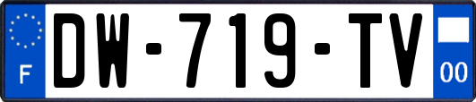 DW-719-TV