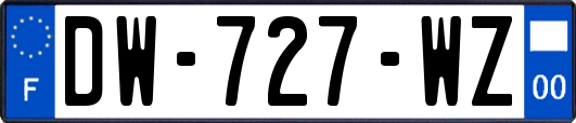 DW-727-WZ