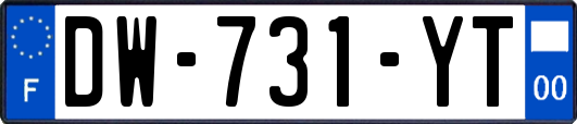 DW-731-YT