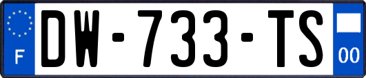 DW-733-TS