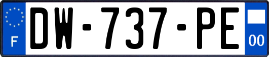 DW-737-PE