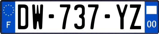 DW-737-YZ