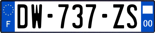 DW-737-ZS