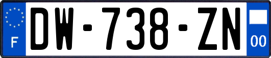 DW-738-ZN