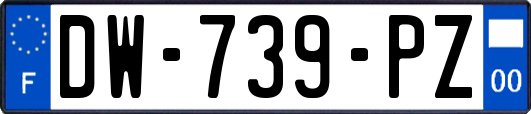 DW-739-PZ