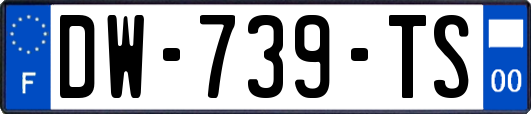 DW-739-TS