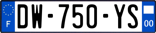 DW-750-YS