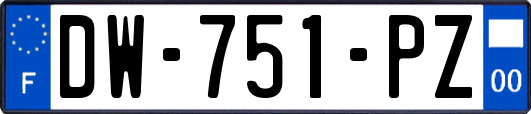 DW-751-PZ