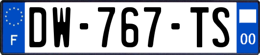 DW-767-TS