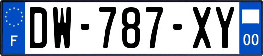 DW-787-XY