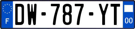 DW-787-YT