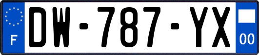 DW-787-YX