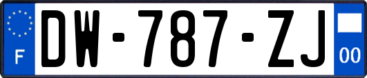 DW-787-ZJ