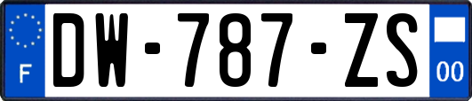 DW-787-ZS