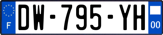 DW-795-YH