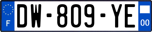 DW-809-YE