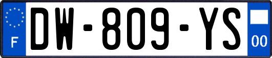 DW-809-YS